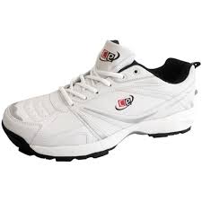 cricket shoes